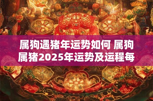 属狗遇猪年运势如何 属狗属猪2025年运势及运程每月运程