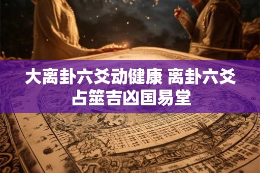大离卦六爻动健康 离卦六爻占筮吉凶国易堂