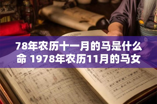 78年农历十一月的马是什么命 1978年农历11月的马女命运如何