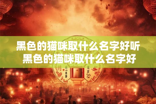 黑色的猫咪取什么名字好听 黑色的猫咪取什么名字好听又可爱