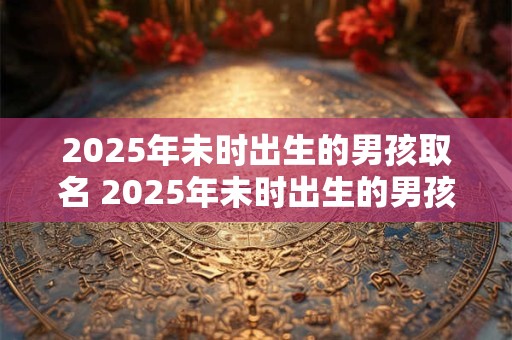 2025年未时出生的男孩取名 2025年未时出生的男孩取名字大全