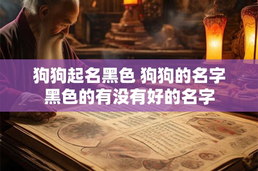 狗狗起名黑色 狗狗的名字黑色的有没有好的名字