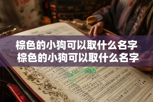 棕色的小狗可以取什么名字 棕色的小狗可以取什么名字好听