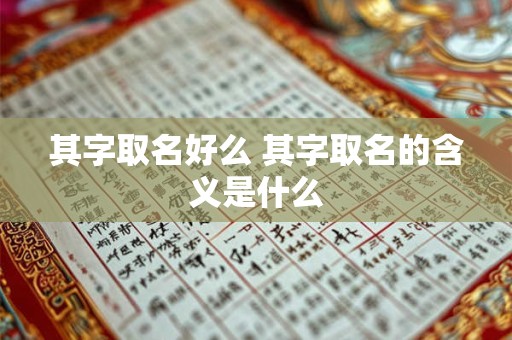 其字取名好么 其字取名的含义是什么