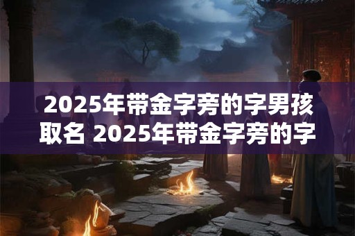 2025年带金字旁的字男孩取名 2025年带金字旁的字男孩取名怎么取