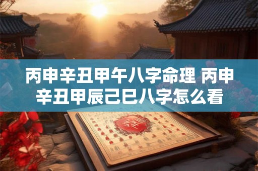 丙申辛丑甲午八字命理 丙申辛丑甲辰己巳八字怎么看