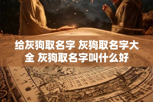 给灰狗取名字 灰狗取名字大全 灰狗取名字叫什么好