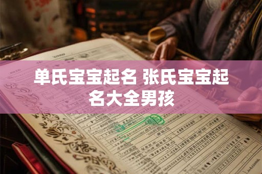 单氏宝宝起名 张氏宝宝起名大全男孩