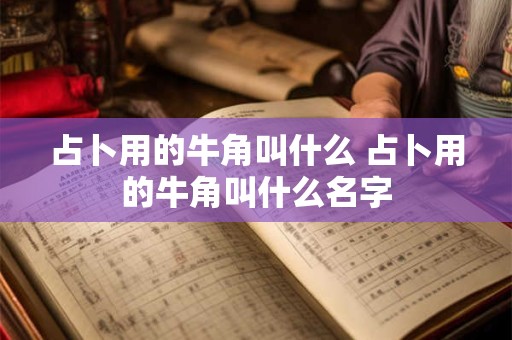 占卜用的牛角叫什么 占卜用的牛角叫什么名字