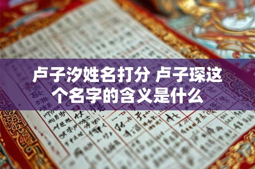 卢子汐姓名打分 卢子琛这个名字的含义是什么
