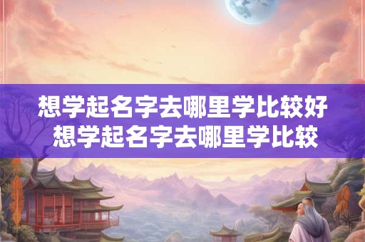 想学起名字去哪里学比较好 想学起名字去哪里学比较好一点