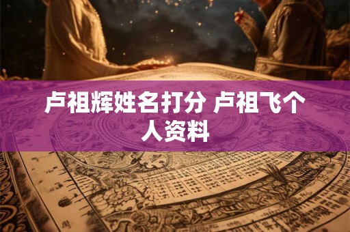 卢祖辉姓名打分 卢祖飞个人资料