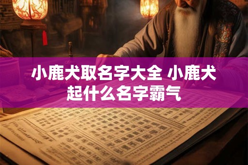 小鹿犬取名字大全 小鹿犬起什么名字霸气