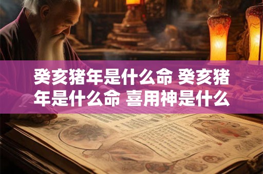 癸亥猪年是什么命 癸亥猪年是什么命 喜用神是什么属相