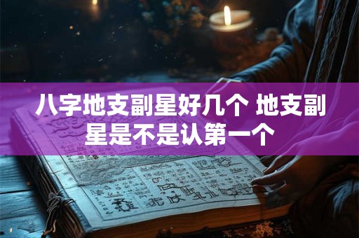 八字地支副星好几个 地支副星是不是认第一个