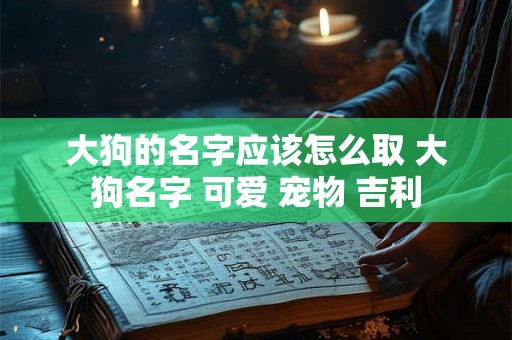 大狗的名字应该怎么取 大狗名字 可爱 宠物 吉利