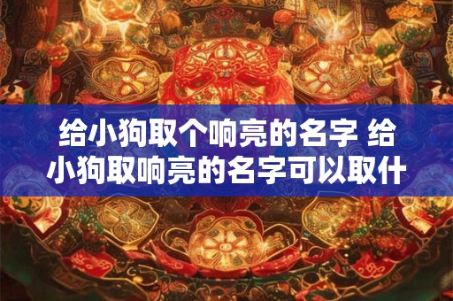 给小狗取个响亮的名字 给小狗取响亮的名字可以取什么