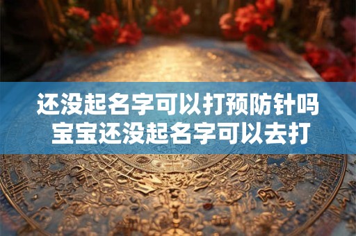 还没起名字可以打预防针吗 宝宝还没起名字可以去打预防针吗