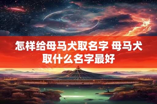 怎样给母马犬取名字 母马犬取什么名字最好