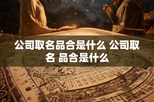 公司取名品合是什么 公司取名 品合是什么