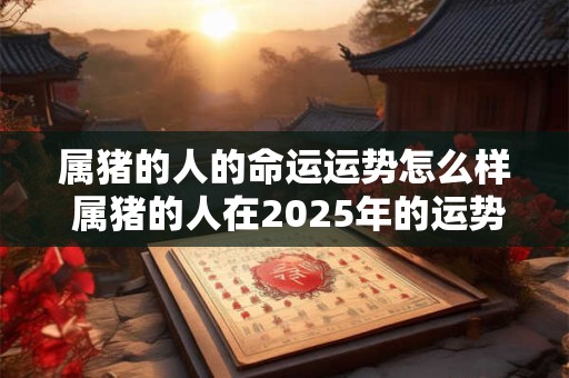 属猪的人的命运运势怎么样 属猪的人在2025年的运势怎么样