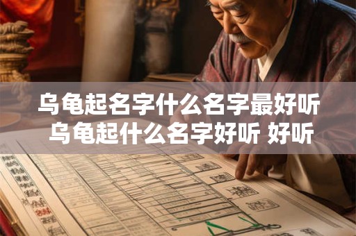 乌龟起名字什么名字最好听 乌龟起什么名字好听 好听的乌龟名字大全