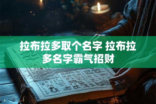 拉布拉多取个名字 拉布拉多名字霸气招财