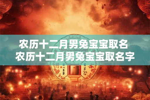 农历十二月男兔宝宝取名 农历十二月男兔宝宝取名字大全