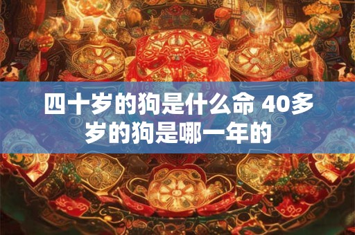四十岁的狗是什么命 40多岁的狗是哪一年的
