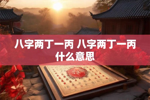 八字两丁一丙 八字两丁一丙什么意思