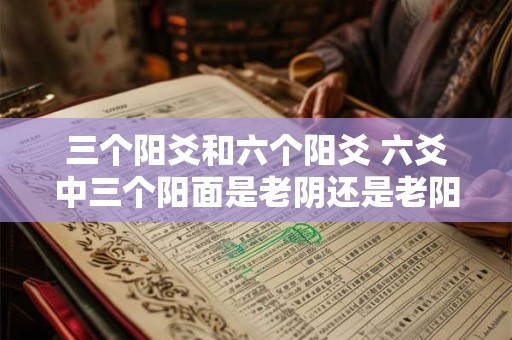 三个阳爻和六个阳爻 六爻中三个阳面是老阴还是老阳