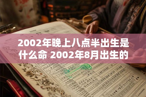 2002年晚上八点半出生是什么命 2002年8月出生的今年几岁属什么的