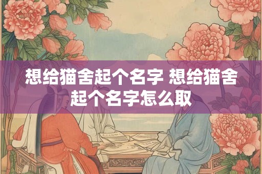 想给猫舍起个名字 想给猫舍起个名字怎么取