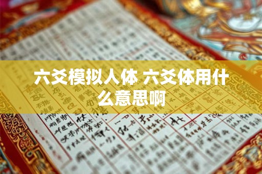 六爻模拟人体 六爻体用什么意思啊