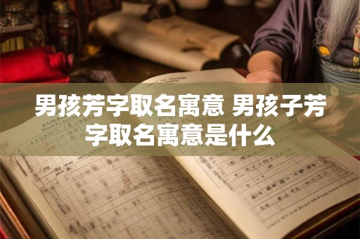 男孩芳字取名寓意 男孩子芳字取名寓意是什么