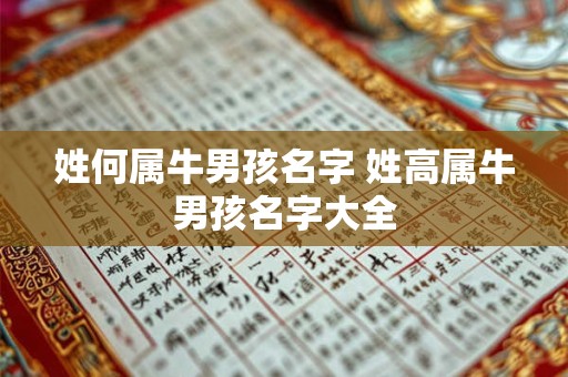姓何属牛男孩名字 姓高属牛男孩名字大全