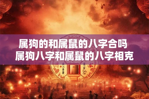 属狗的和属鼠的八字合吗 属狗八字和属鼠的八字相克吗