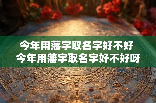 今年用藩字取名字好不好 今年用藩字取名字好不好呀