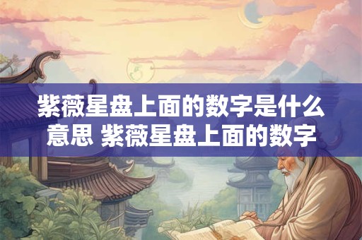 紫薇星盘上面的数字是什么意思 紫薇星盘上面的数字是什么意思呀