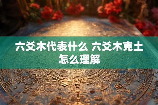 六爻木代表什么 六爻木克土怎么理解