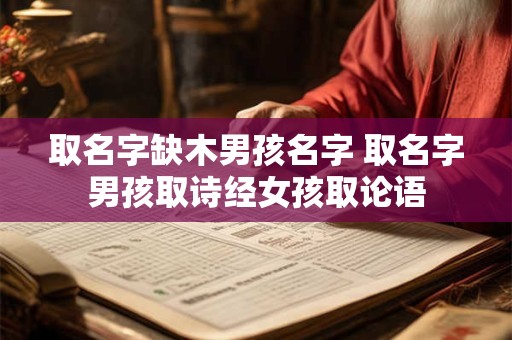 取名字缺木男孩名字 取名字男孩取诗经女孩取论语