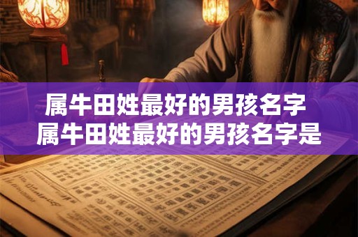 属牛田姓最好的男孩名字 属牛田姓最好的男孩名字是什么