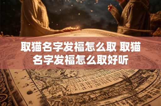 取猫名字发福怎么取 取猫名字发福怎么取好听