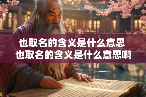 也取名的含义是什么意思 也取名的含义是什么意思啊