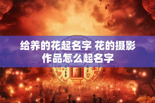 给养的花起名字 花的摄影作品怎么起名字