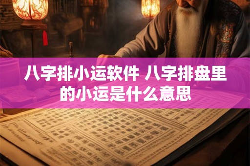 八字排小运软件 八字排盘里的小运是什么意思