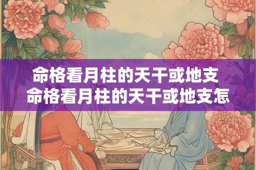 命格看月柱的天干或地支 命格看月柱的天干或地支怎么看