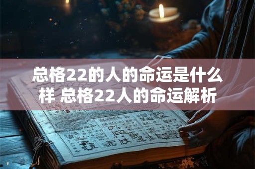 总格22的人的命运是什么样 总格22人的命运解析