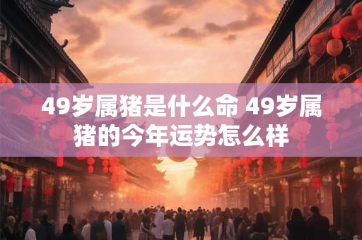 49岁属猪是什么命 49岁属猪的今年运势怎么样