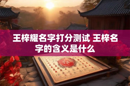 王梓耀名字打分测试 王梓名字的含义是什么